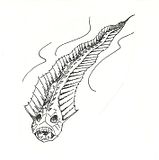 RAZORFISH.jpg image by mousebeaver