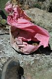 ALAMOS2004153.jpg image by lookunderocks