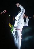 sonnenblume-gbpic-37