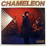 chameleon-gbpic-18